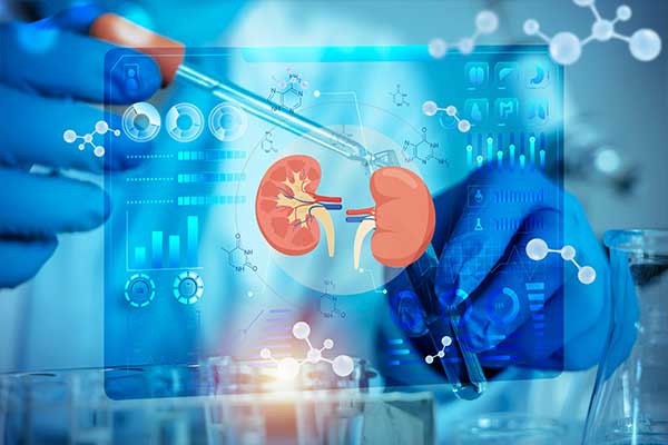 kidney research